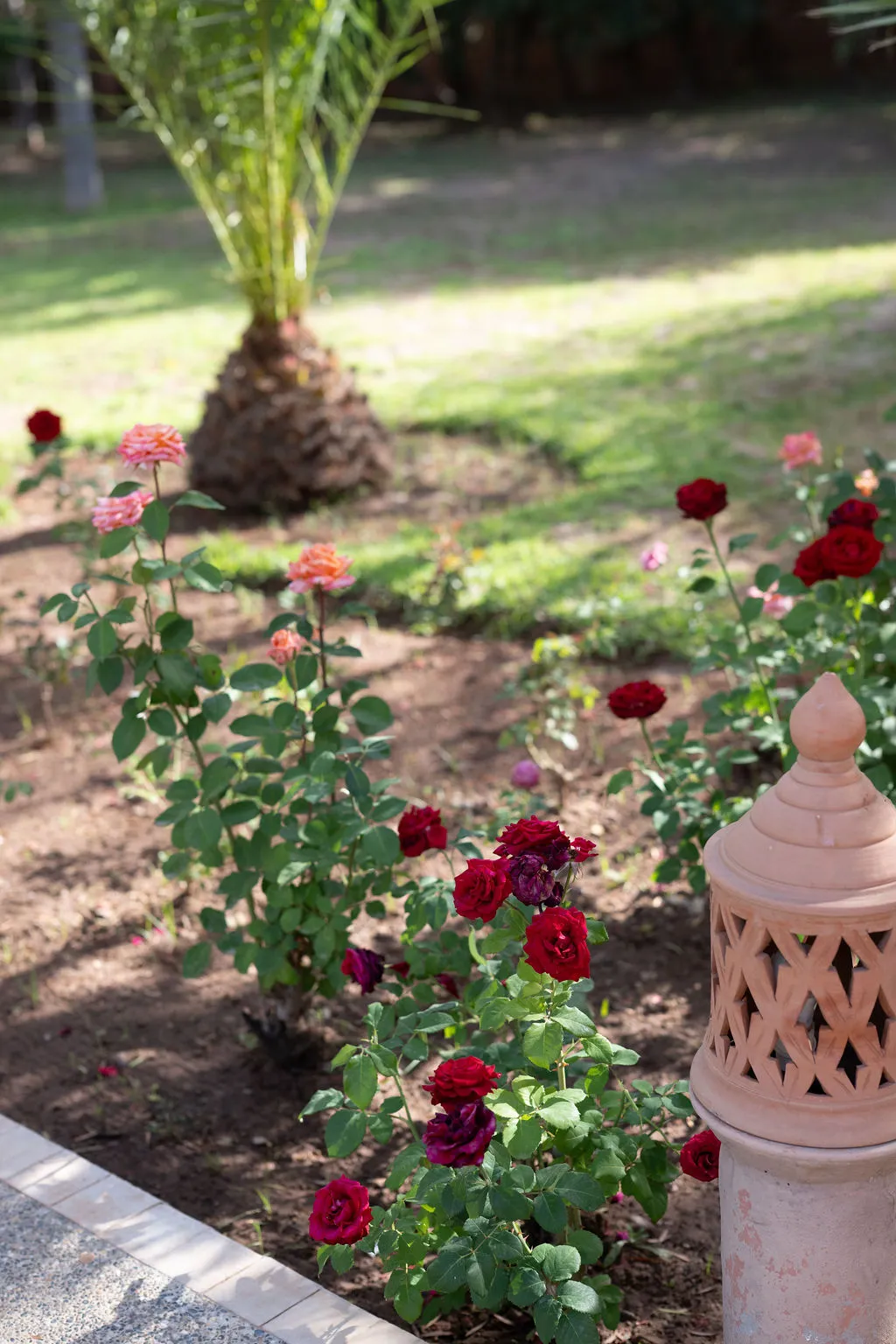 Jardin de l'entrée — Villa Dar Moudar Marrakech