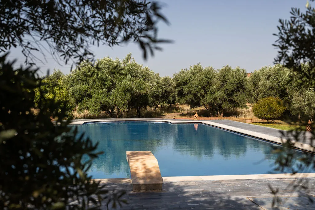 Plongeoir & oliveraie — Villa Dar Moudar Marrakech